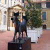 Biennale Lions 05