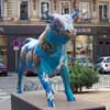 Biennale Lions 08
