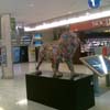 Biennale Lions 18
