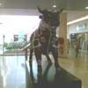 Biennale Lions 22