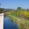 Gerland 08